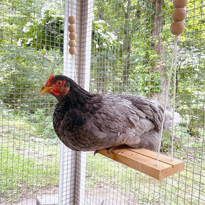 Chicken Swing Toy