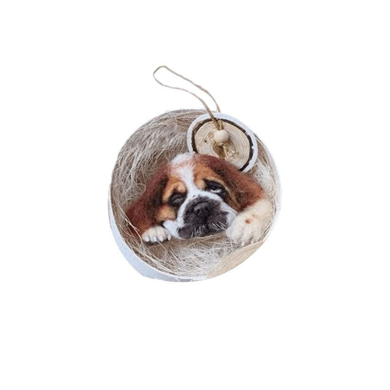[DIY Package] Felt Animal Brooch