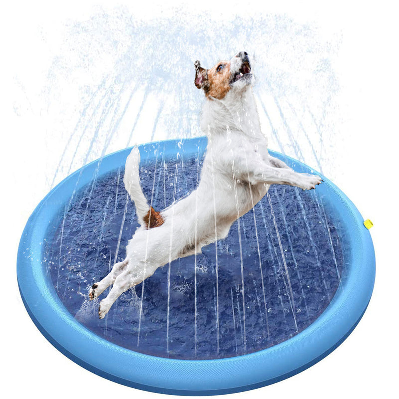 Dog Sprinkler Pool