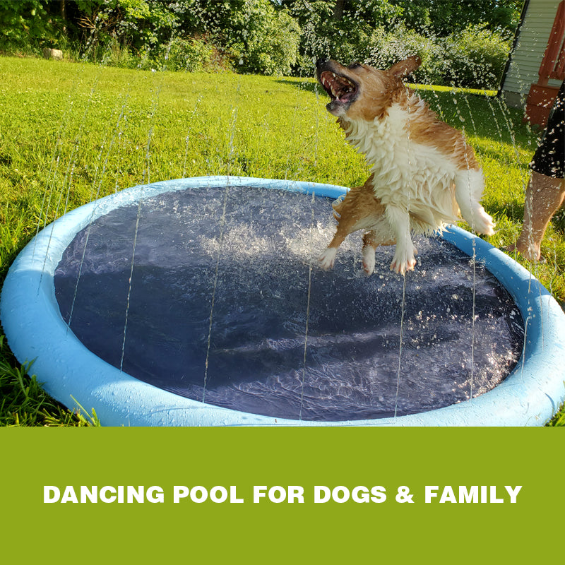 Dog Sprinkler Pool