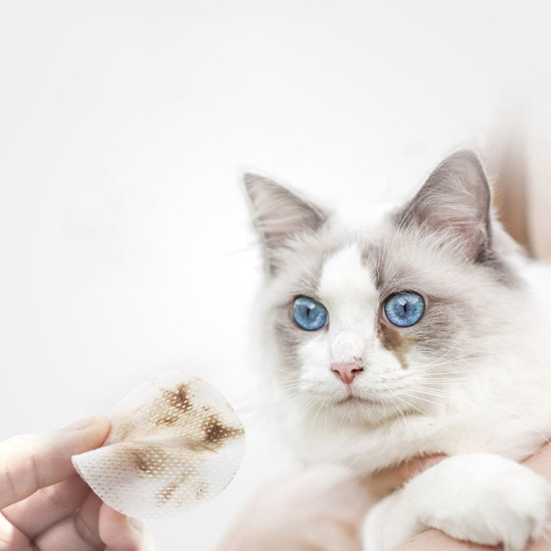 Pets' Tear Stain Wipes