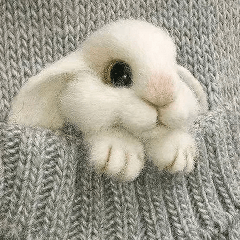 [DIY Package] Felt Animal Brooch
